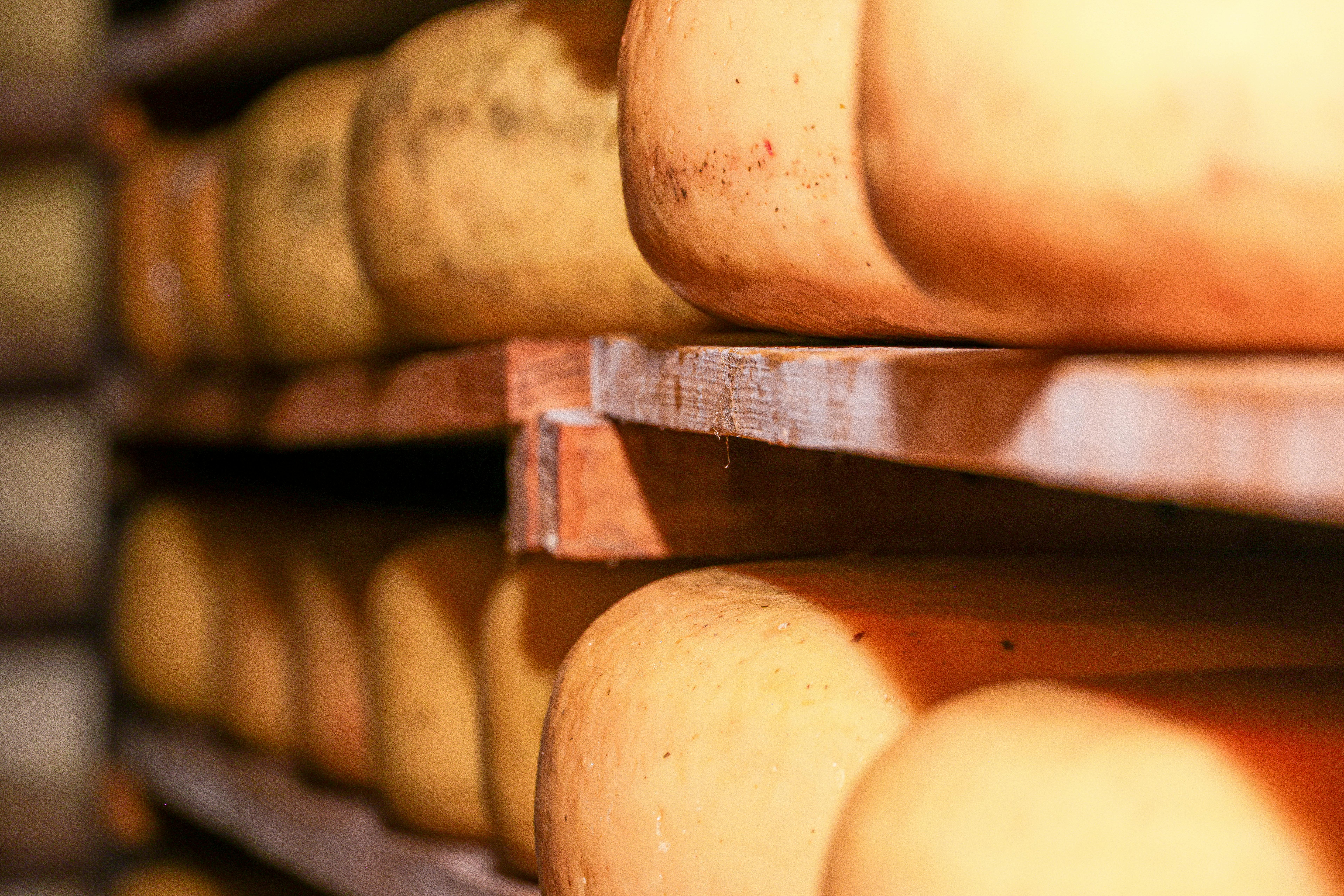 In-house Mahon cheese